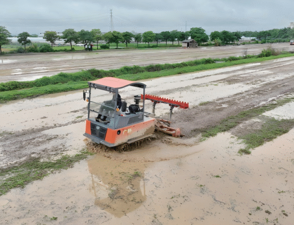 Rice combine harvester - Image 2